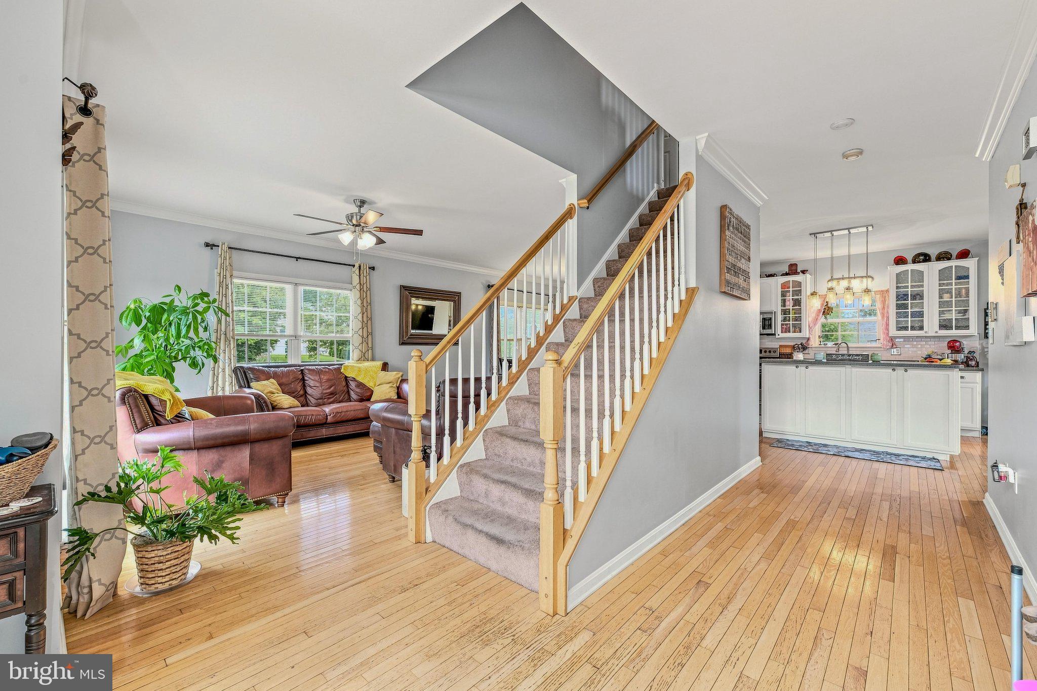 13 CREIGHTON COURT