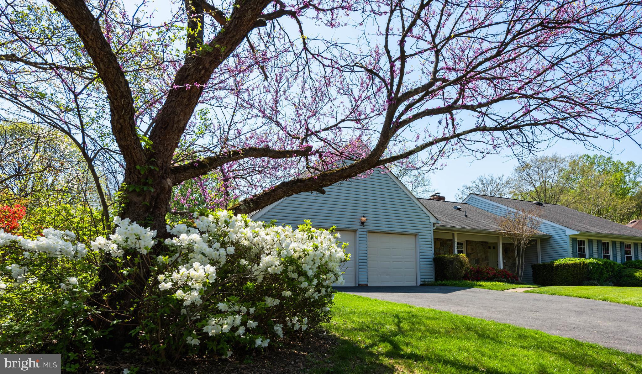 LOCUST HILL - Residential Lease