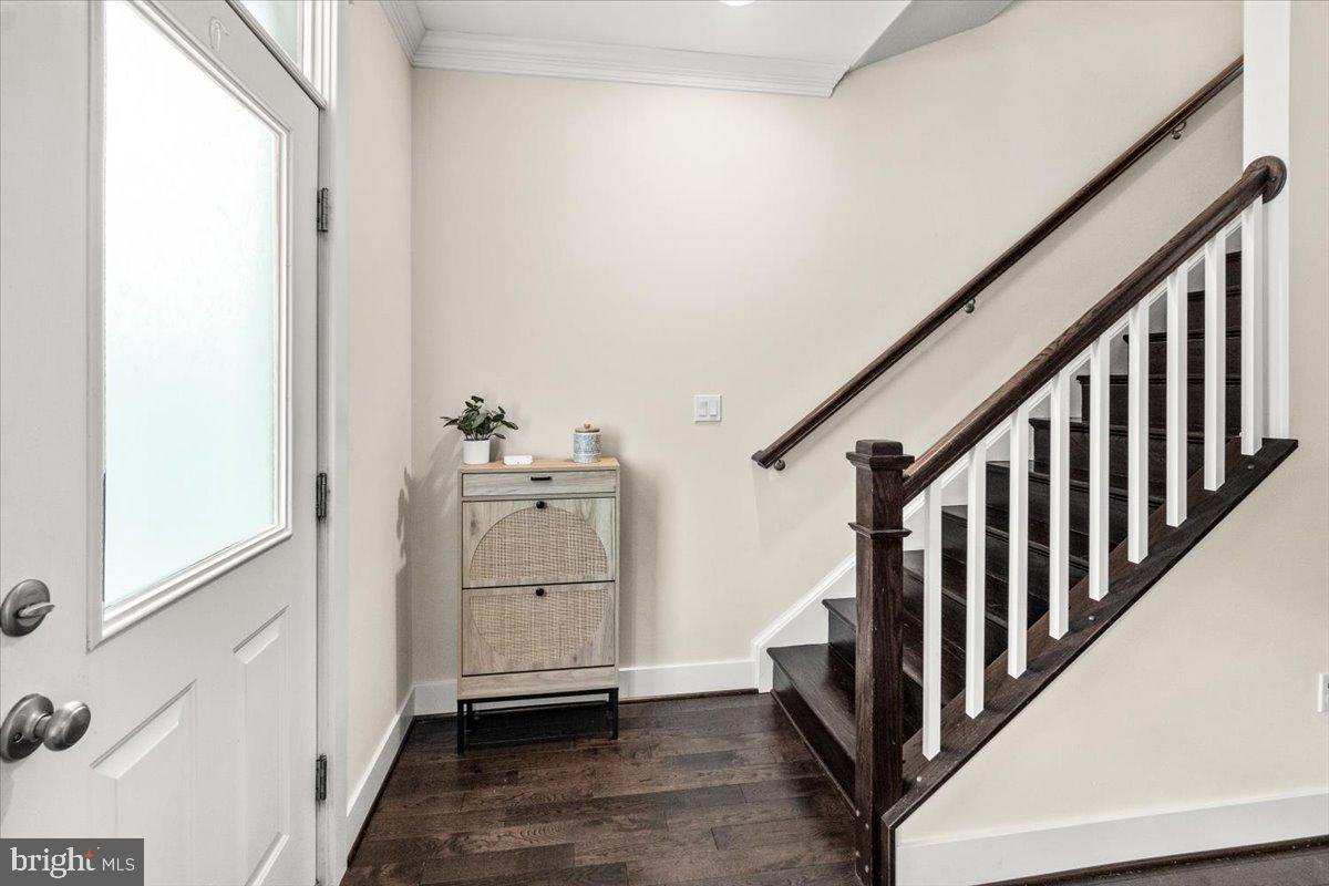 DOWNTOWN FREDERICK - Residential