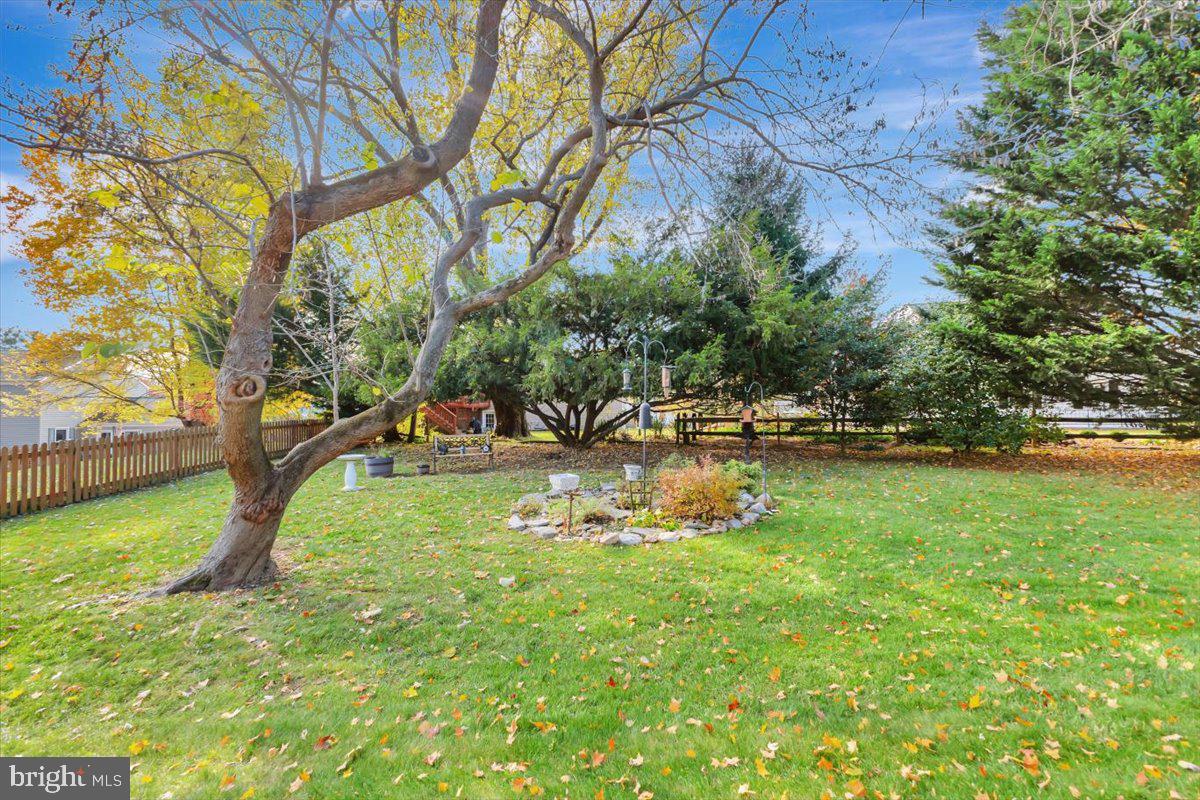 SPRINGDALE - Residential