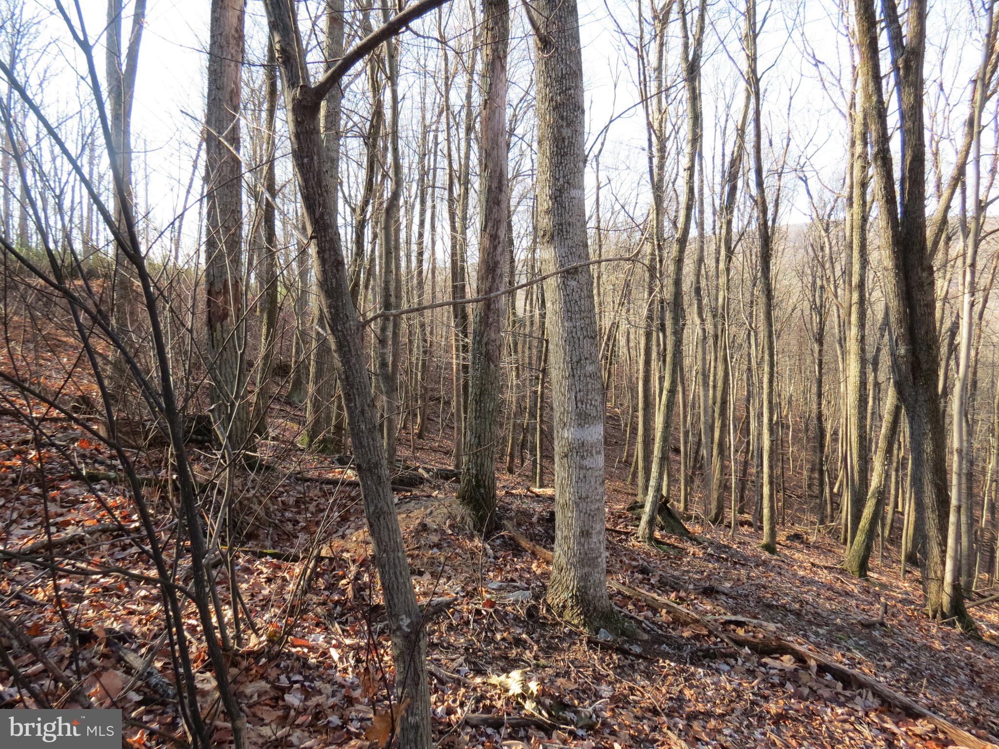 14A CEDARWOOD DRIVE ROAD