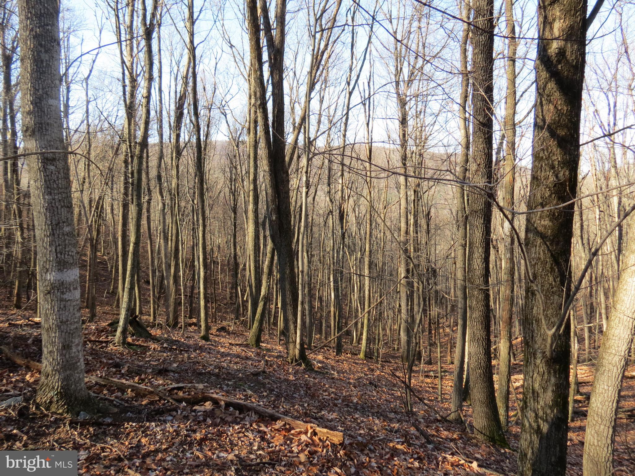 14A CEDARWOOD DRIVE ROAD