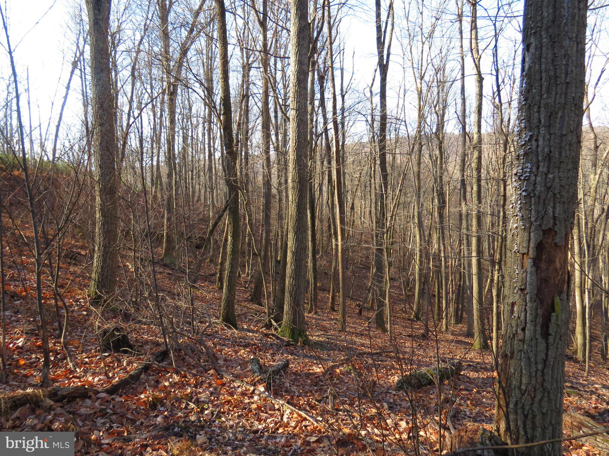 14A CEDARWOOD DRIVE ROAD