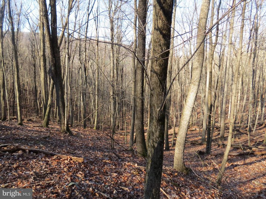 2.92 acre wooded parcel located in Lost River Mountain SD.   Come build your dream home or get away.