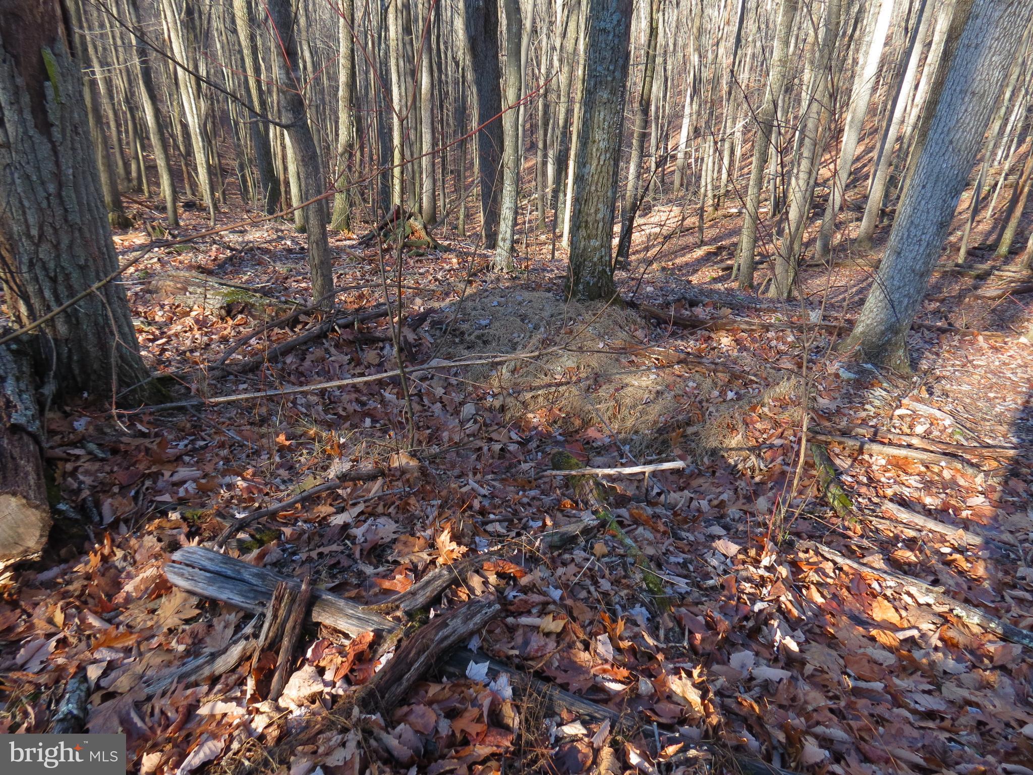 14A CEDARWOOD DRIVE ROAD