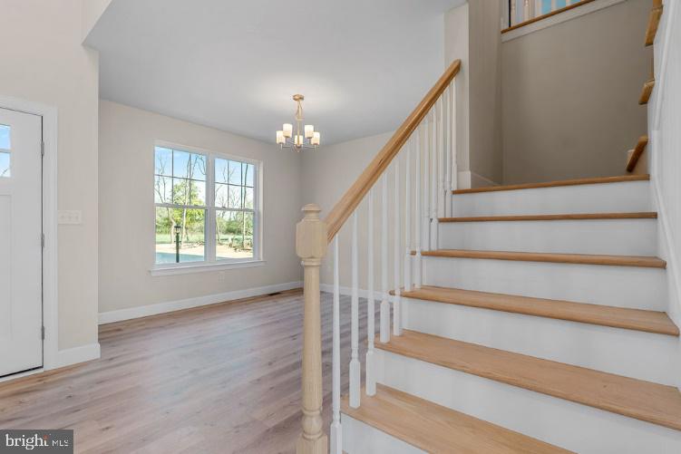 1798 COLD SPRINGS PARK