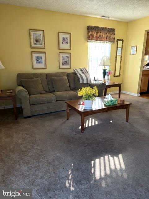 734 VIRGIN ISLAND DRIVE