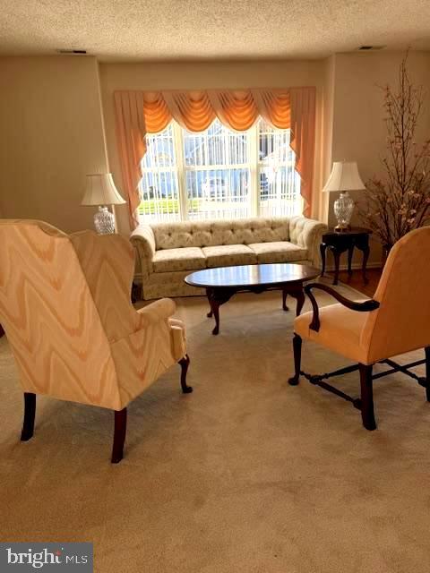 734 VIRGIN ISLAND DRIVE