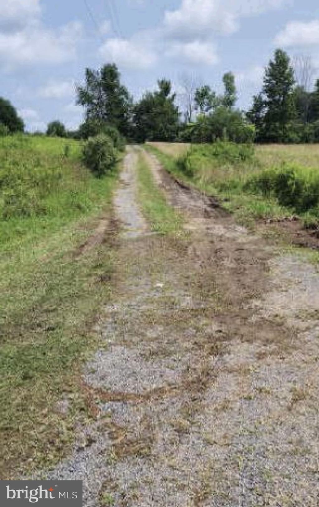 Photo of 83 Ankney Lane, WESTOVER, PA 16692 (MLS # PACD2045018)