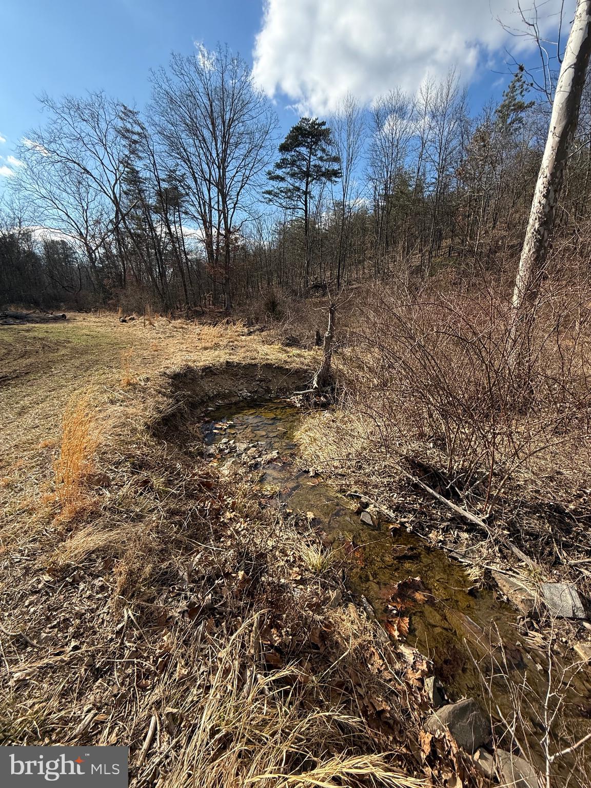 FISHER TRACT - Residential