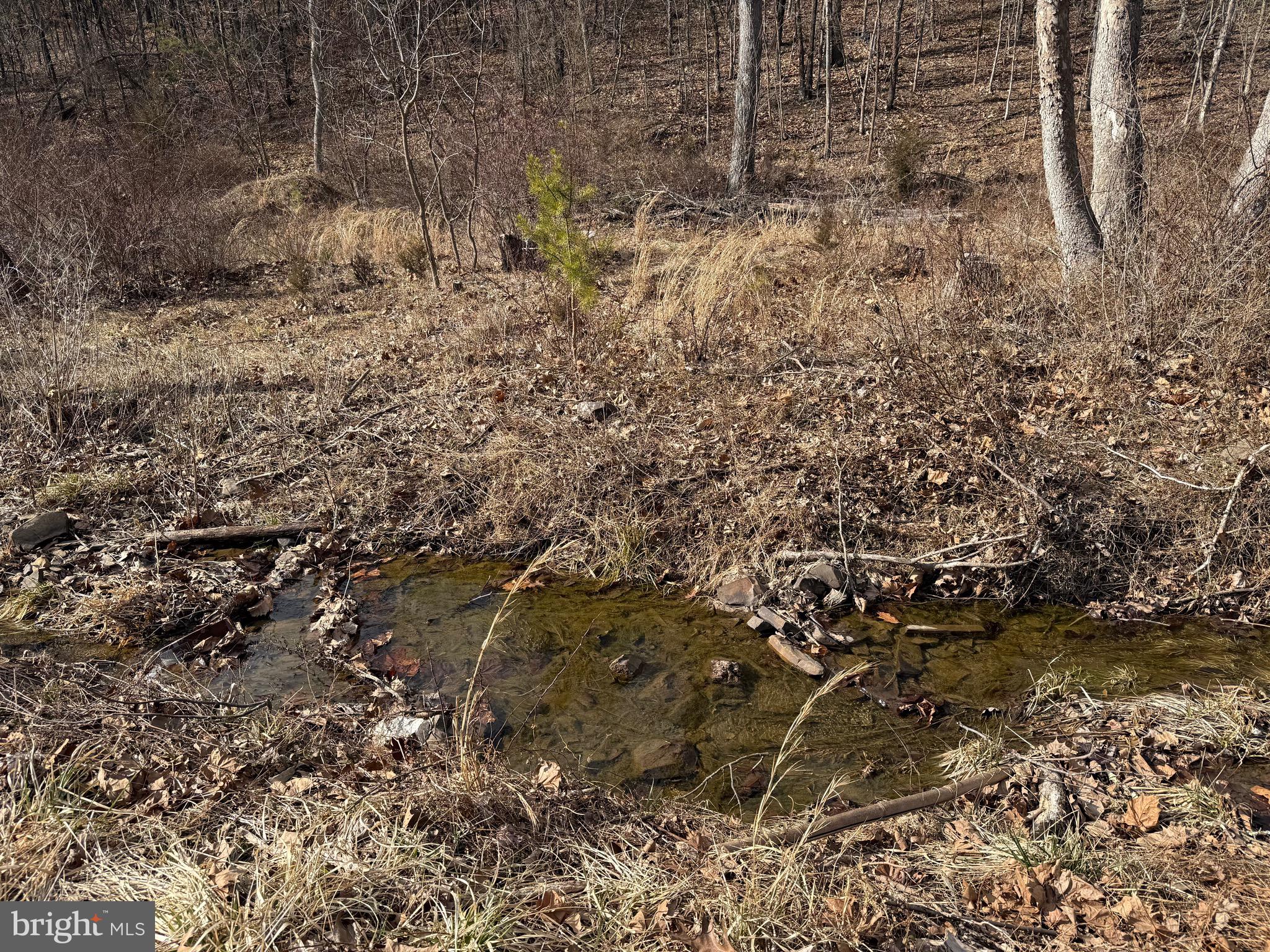 FISHER TRACT - Residential