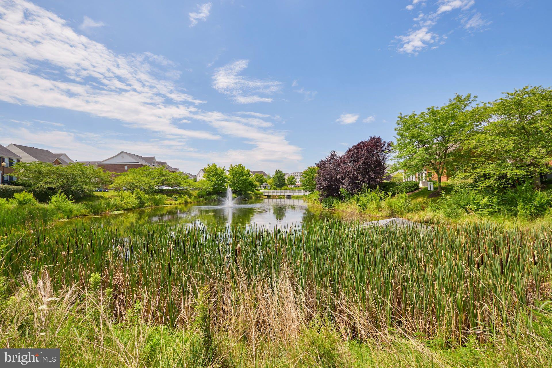 PARKS AT PIEDMONT SOUTH - Residential