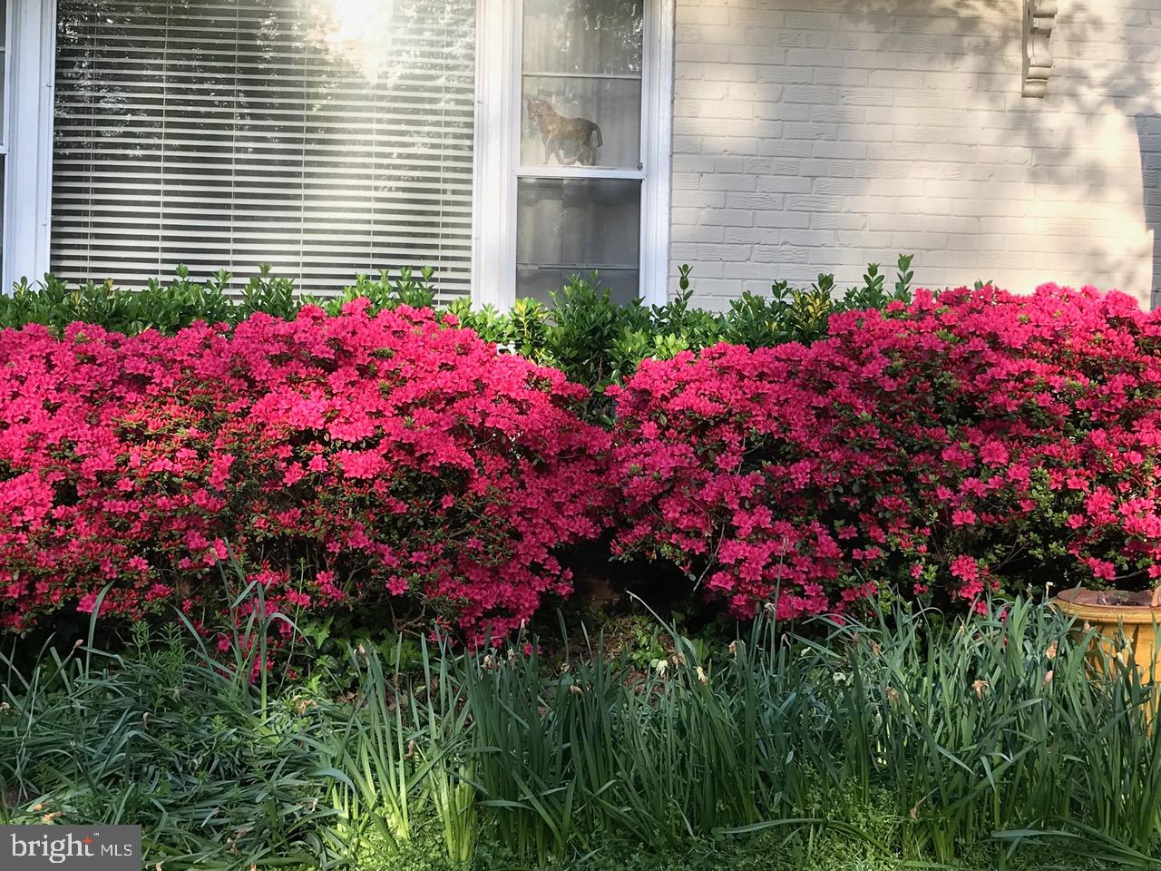 BELLE HAVEN - Residential