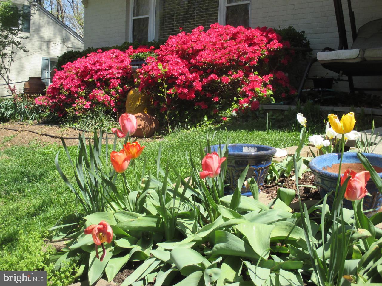 BELLE HAVEN - Residential