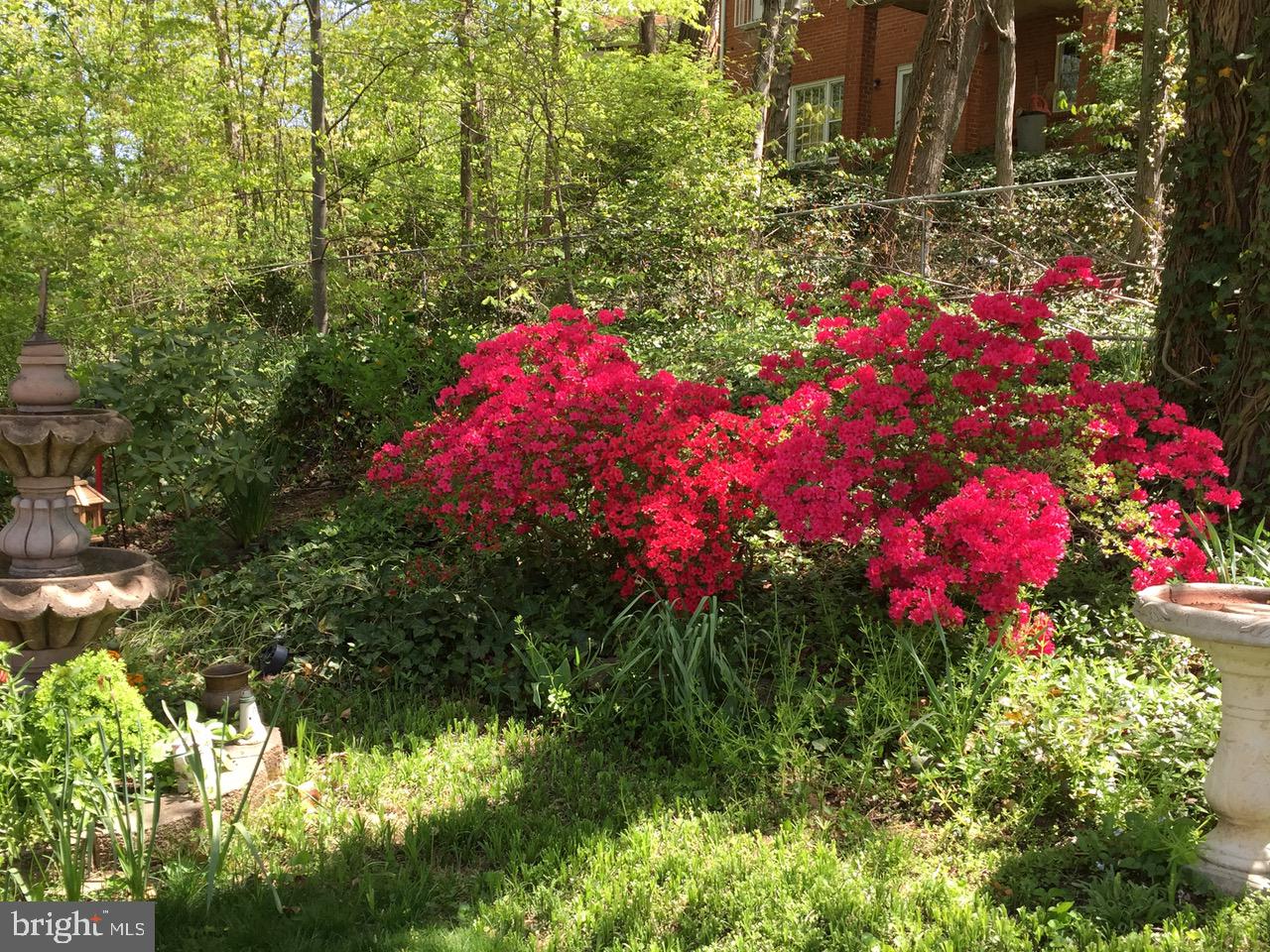 BELLE HAVEN - Residential