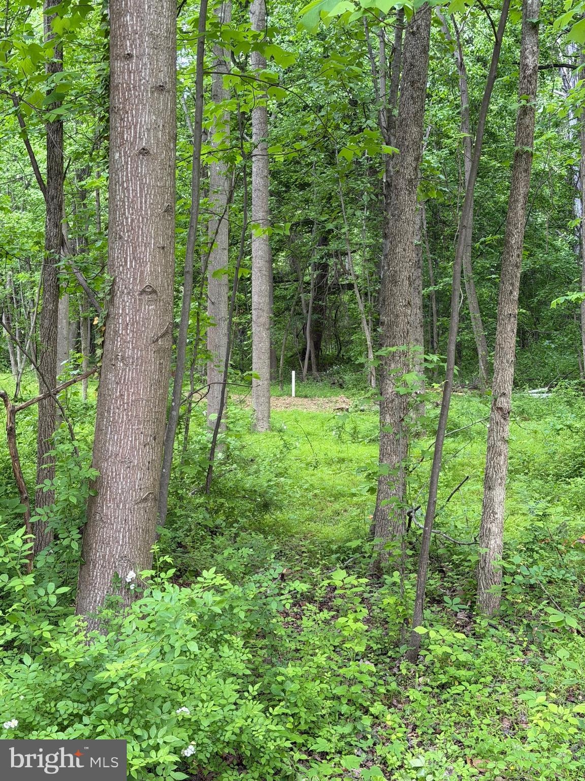 HIDEOUT LANE