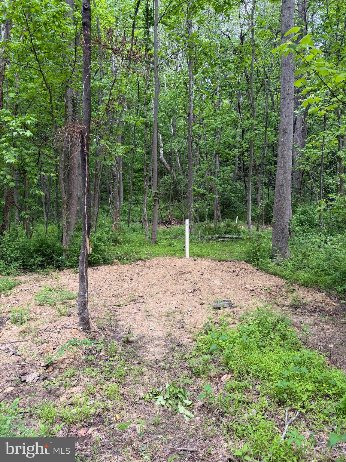 HIDEOUT LANE