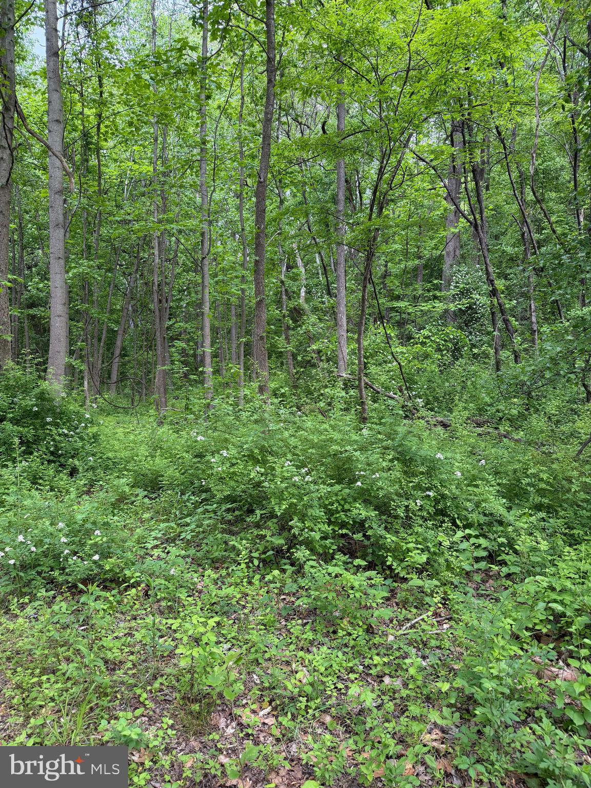 HIDEOUT LANE