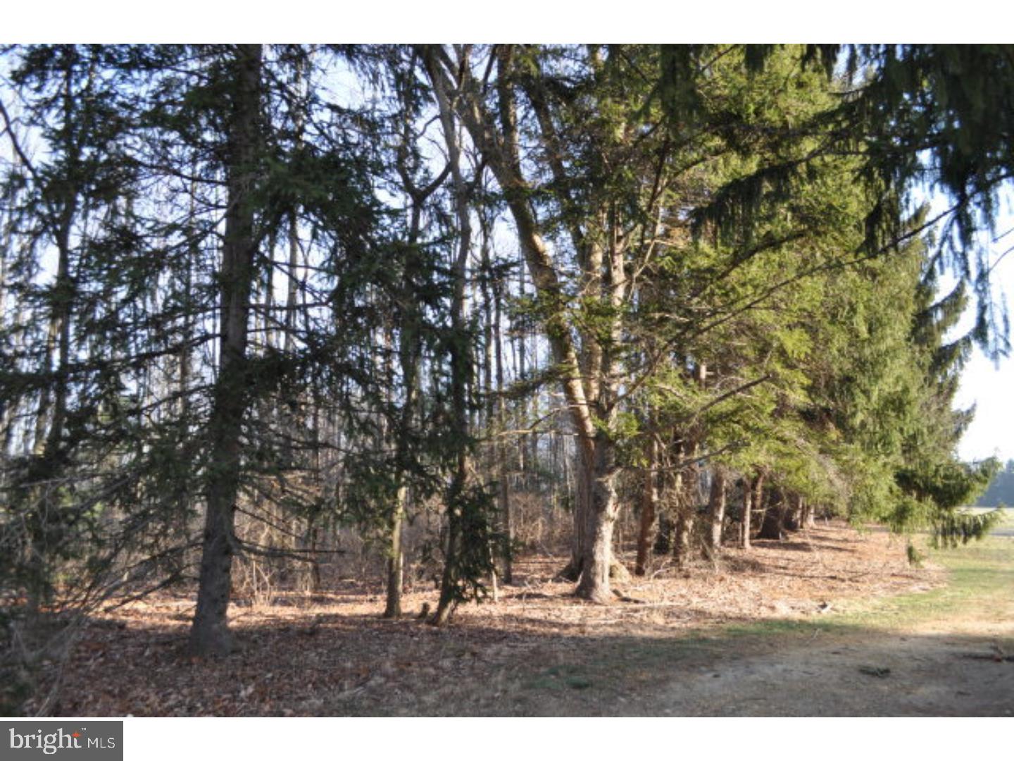 NONE AVAILABLE - Land