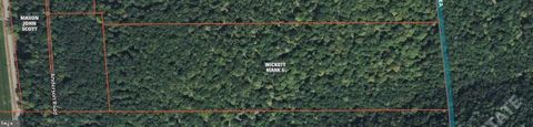 Vacant Land For Sale - Sterling Run - Route 120<br/> Cameron County, DRIFTWOOD, PA 15832