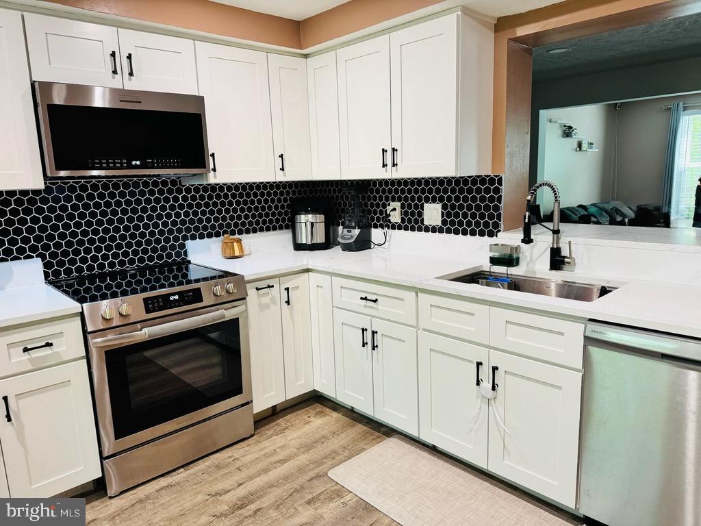 15095 MILL SPRING DRIVE