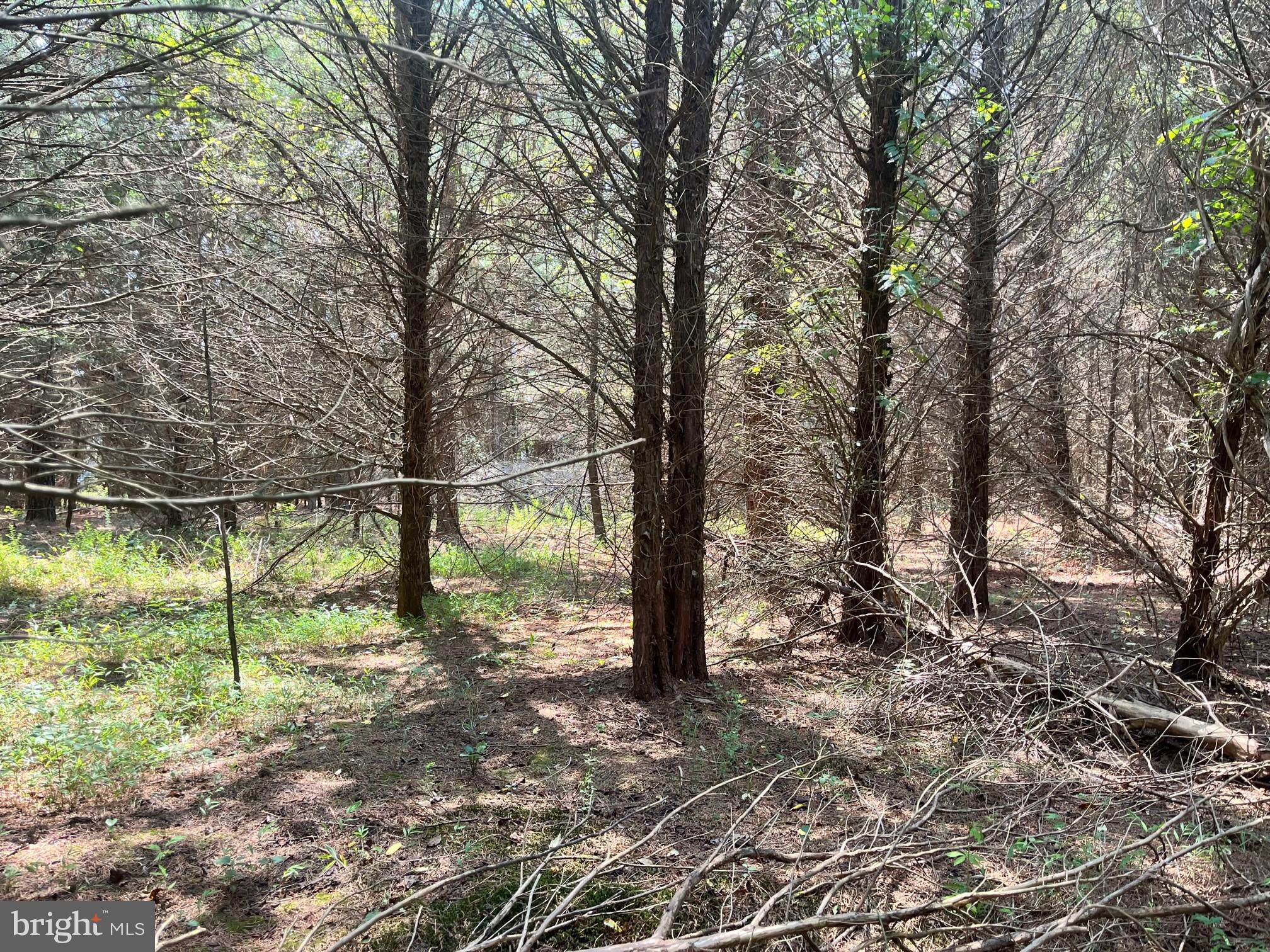 NONE AVAILABLE - Land