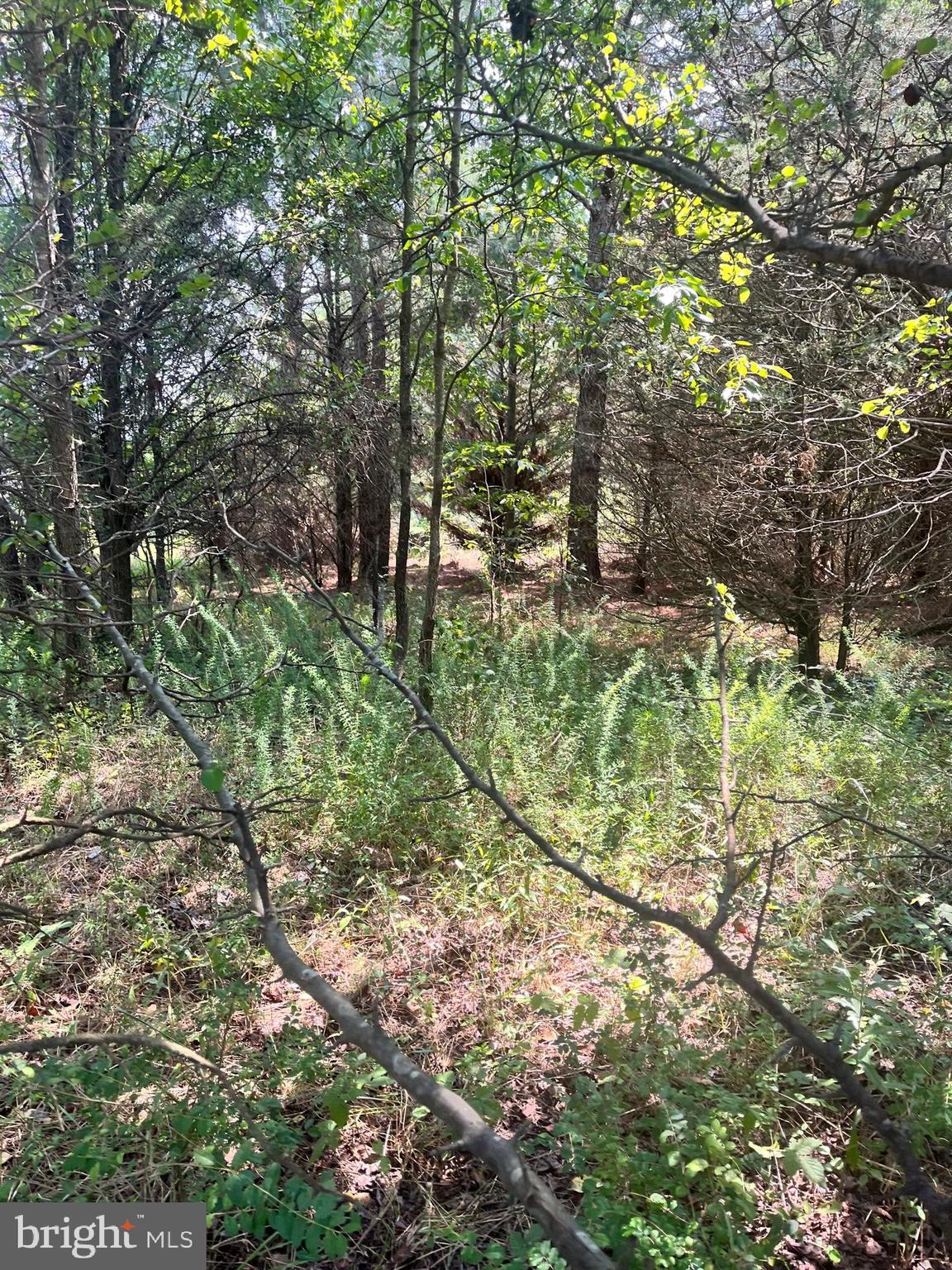 NONE AVAILABLE - Land