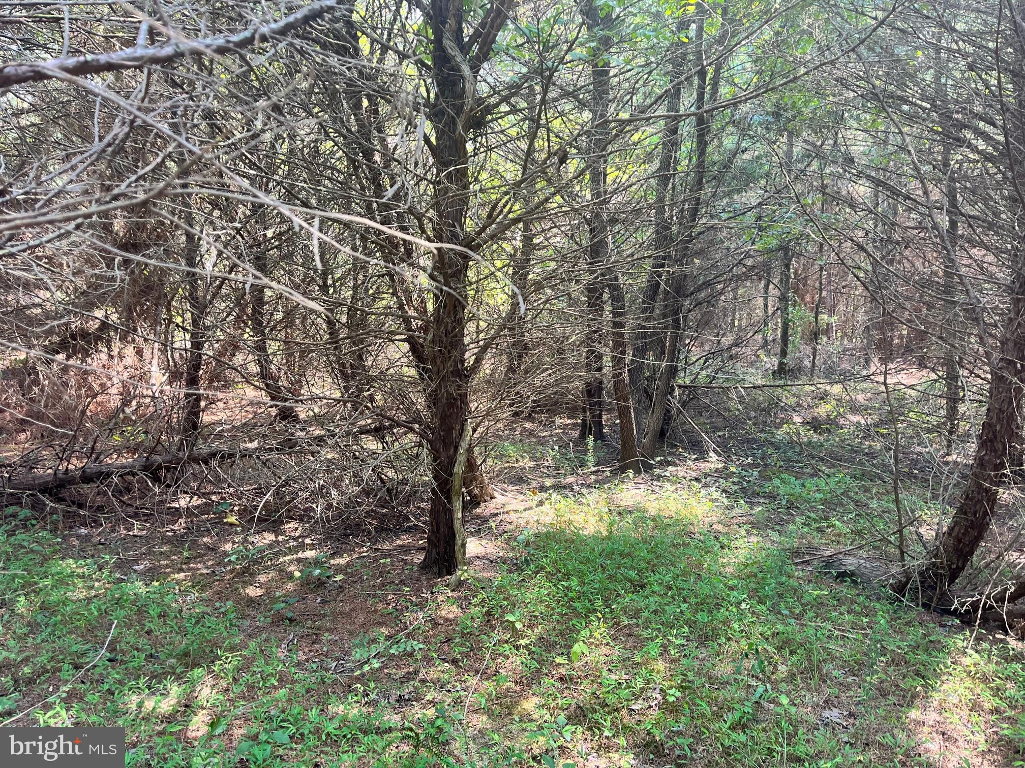 NONE AVAILABLE - Land