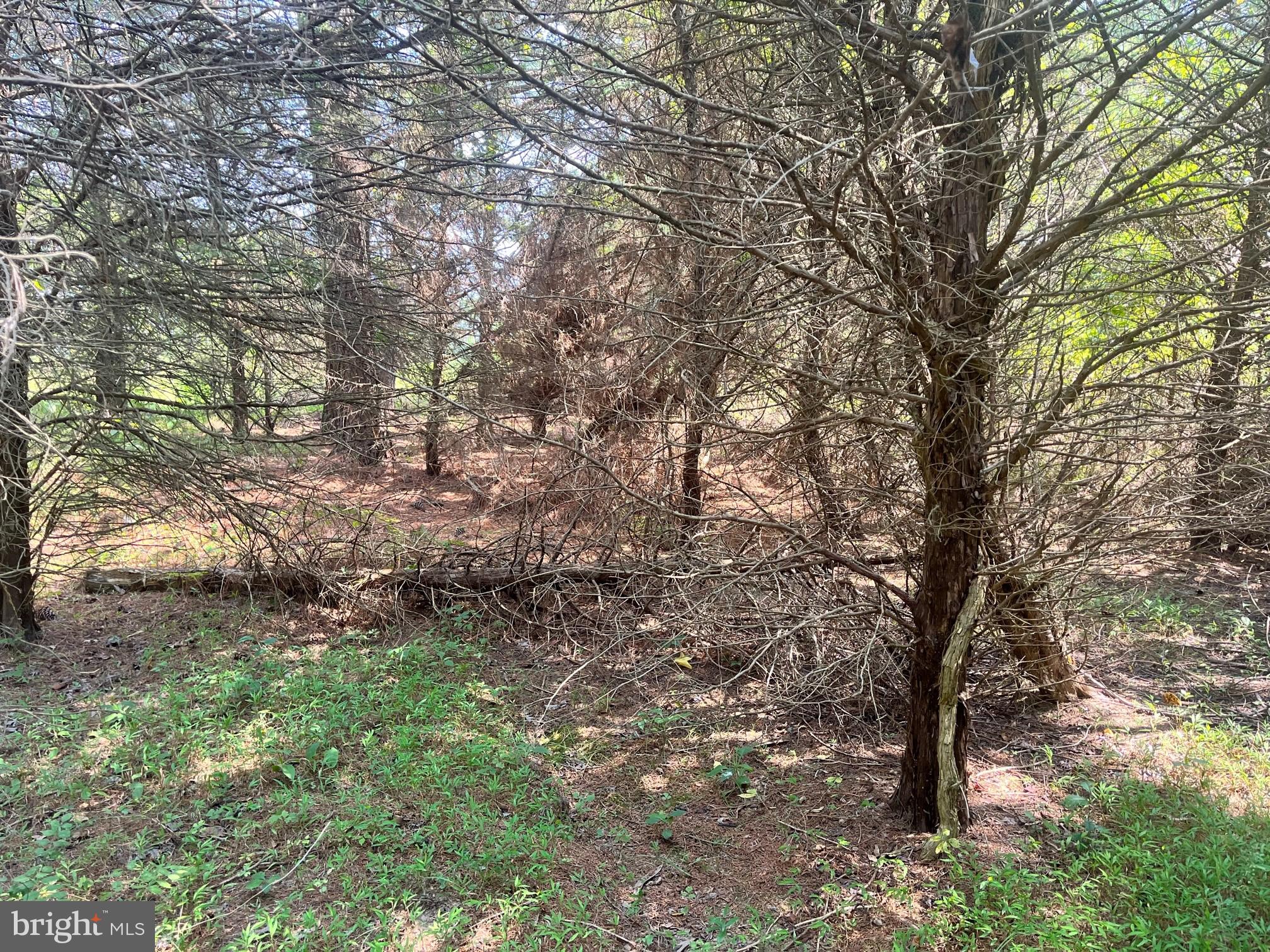 NONE AVAILABLE - Land