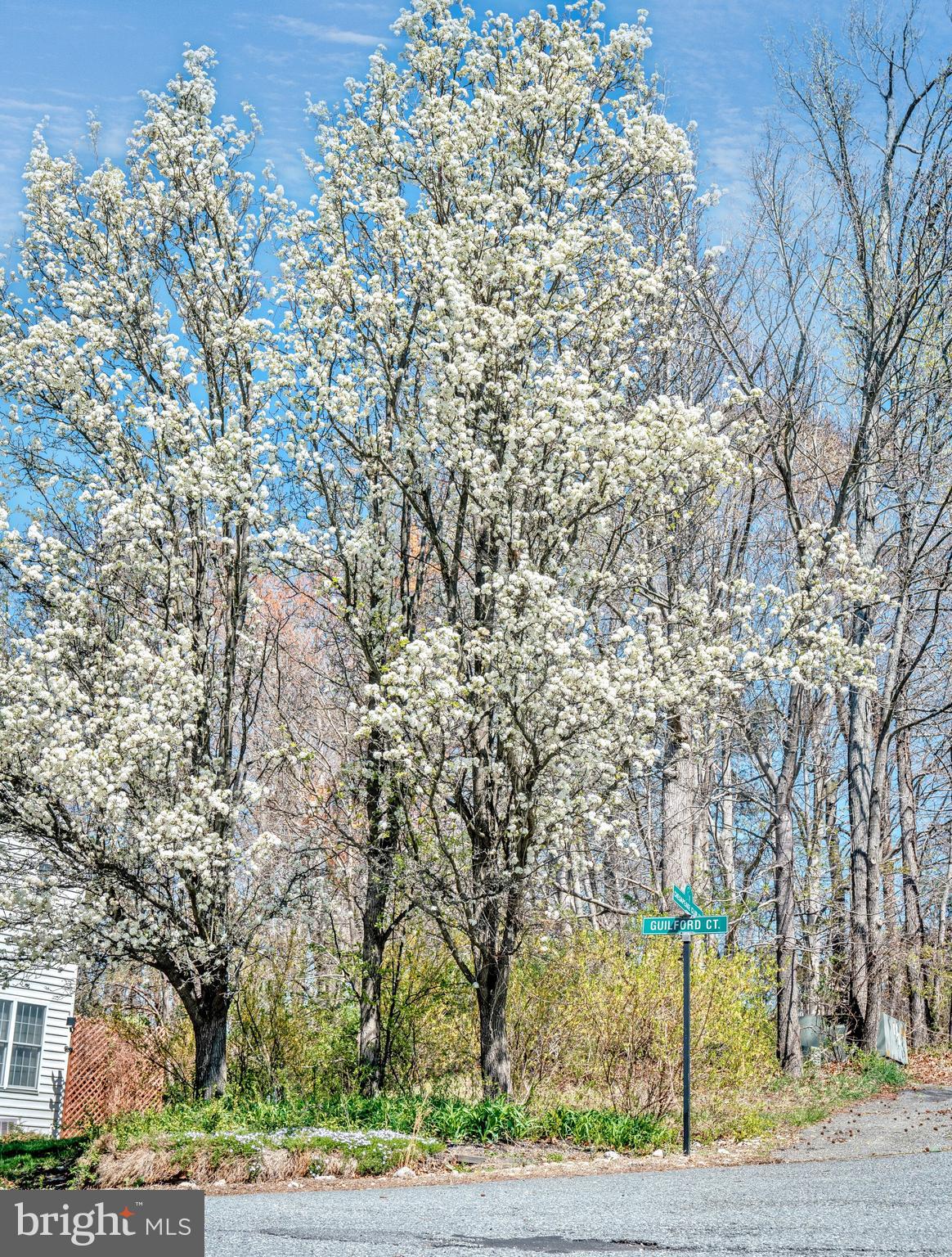 CHESAPEAKE CLUB - Residential