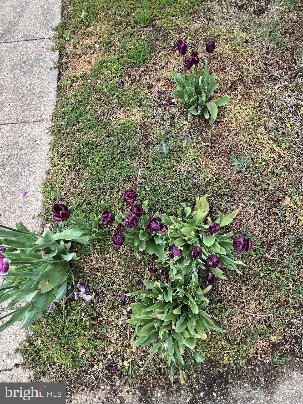 BALTIMORE COUNTY - Residential