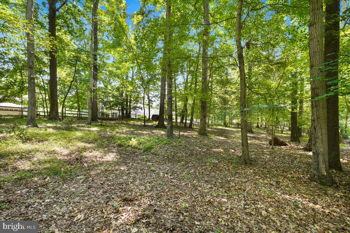 QUAIL RUN - Residential