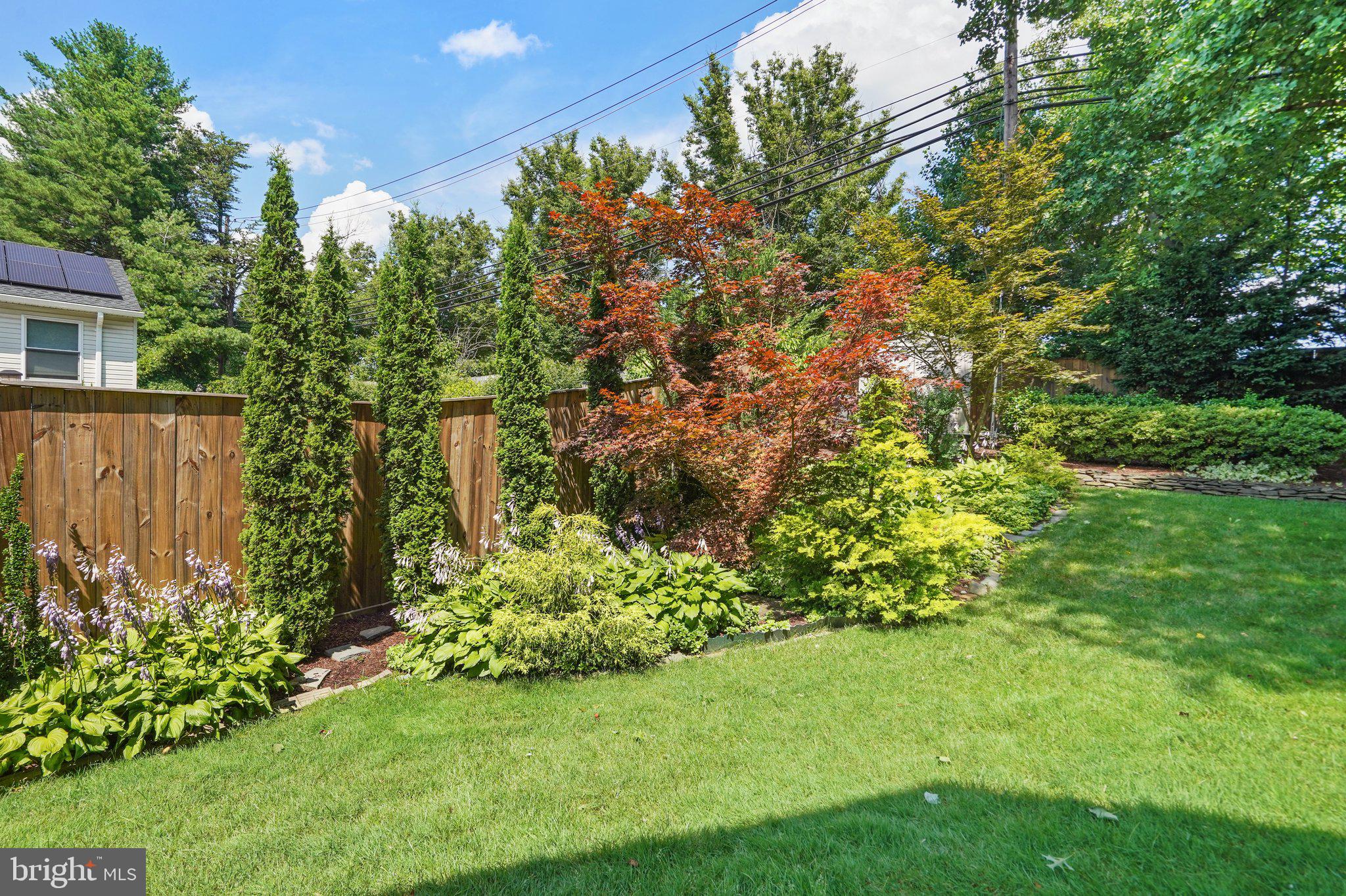 WILLIAMSBURG VILLAGE - Residential