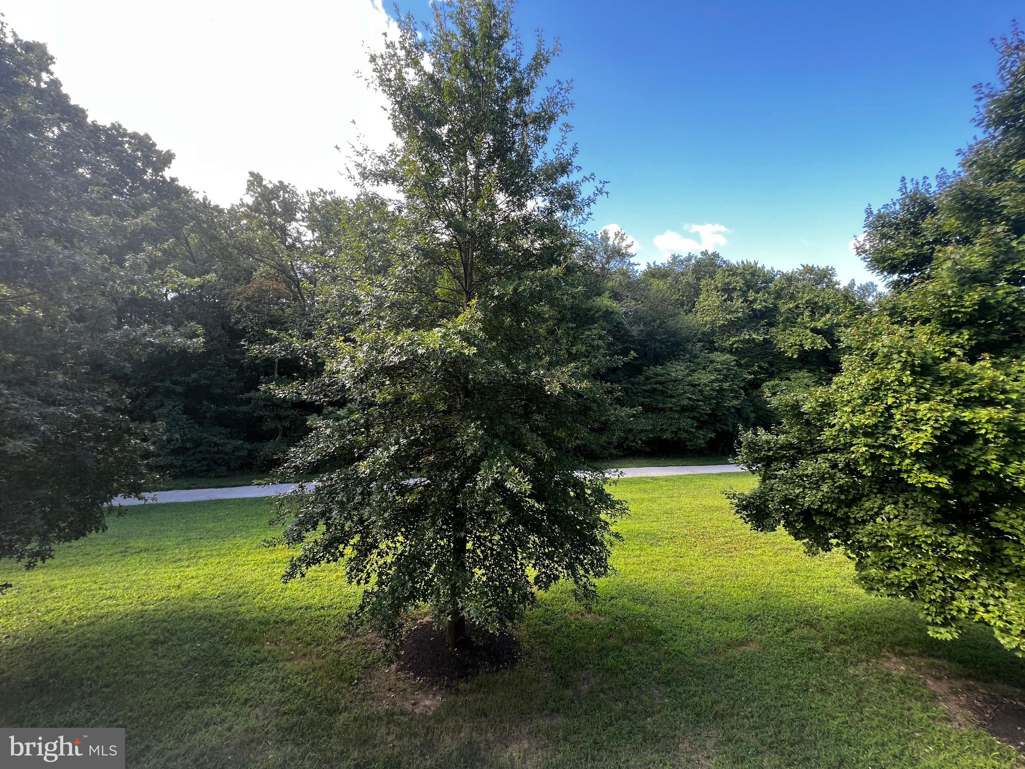 TANYARD SPRINGS - Residential Lease