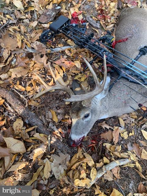 BLUFFS ON THE POTOMAC - Land