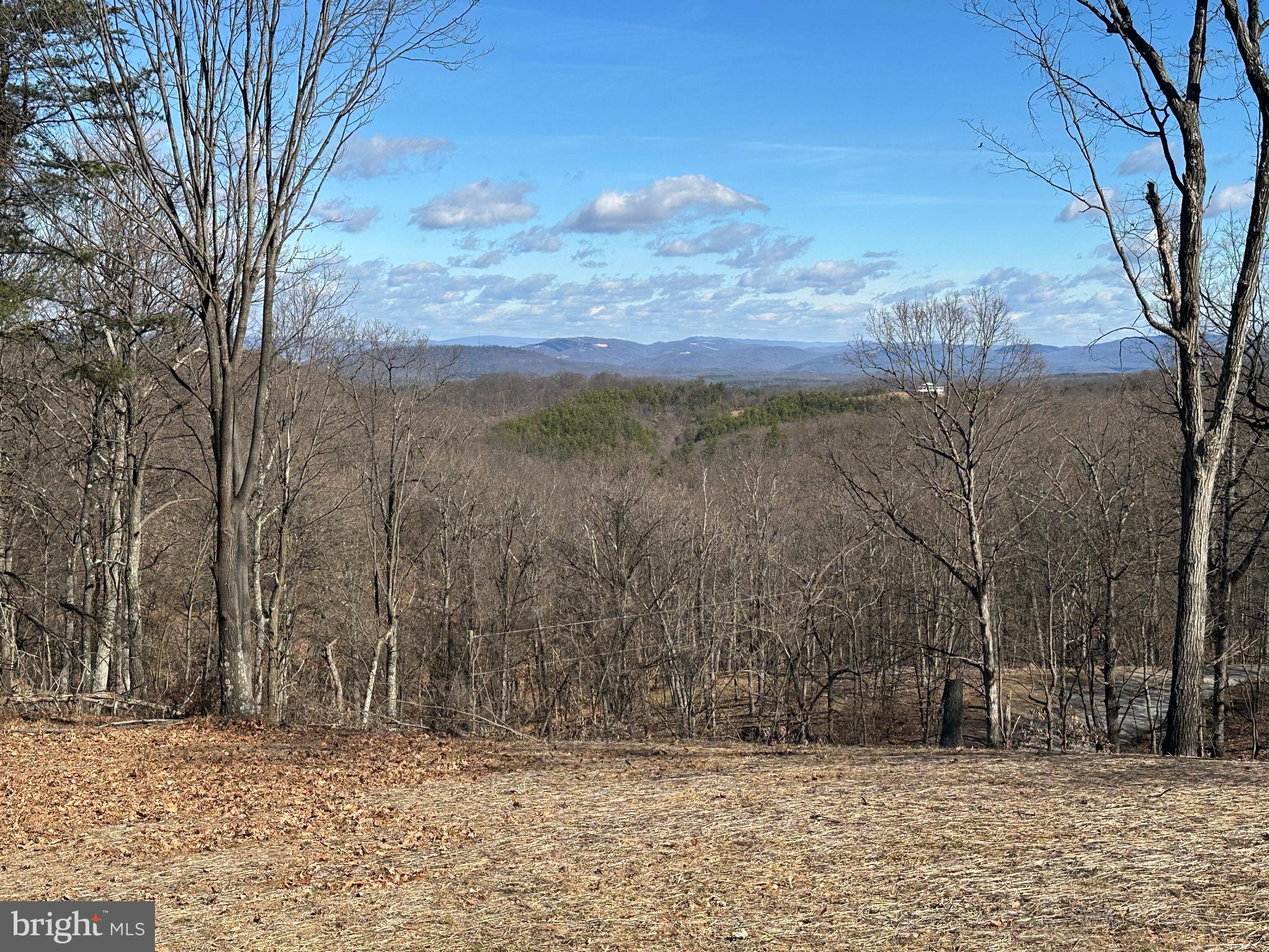BLUFFS ON THE POTOMAC - Land