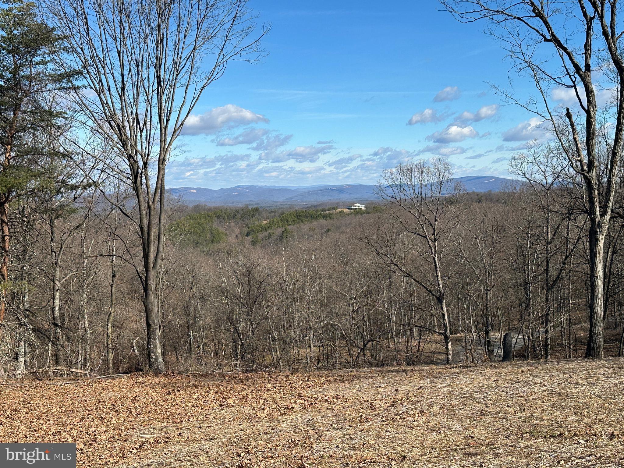 BLUFFS ON THE POTOMAC - Land