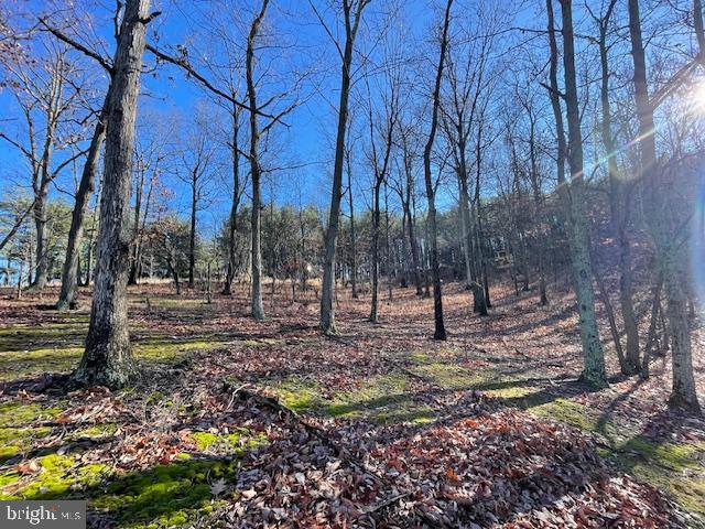 BLUFFS ON THE POTOMAC - Land