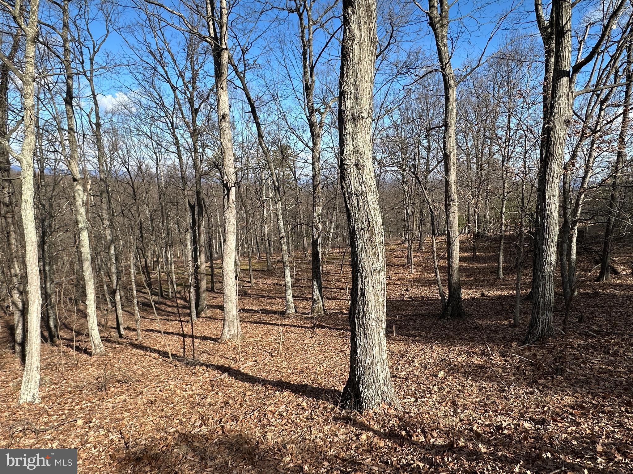 BLUFFS ON THE POTOMAC - Land