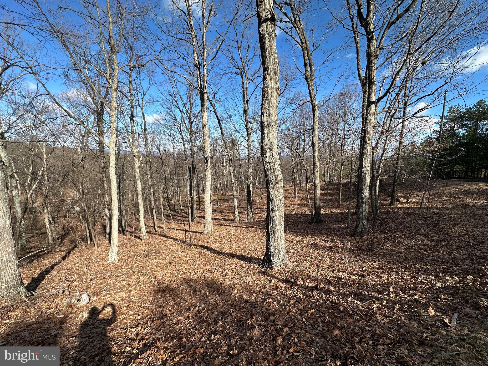 BLUFFS ON THE POTOMAC - Land