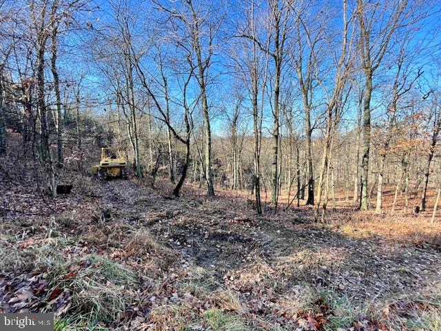 BLUFFS ON THE POTOMAC - Land