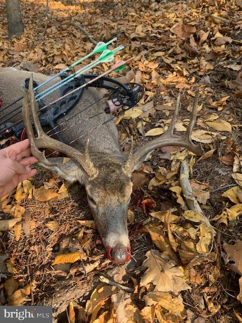 BLUFFS ON THE POTOMAC - Land