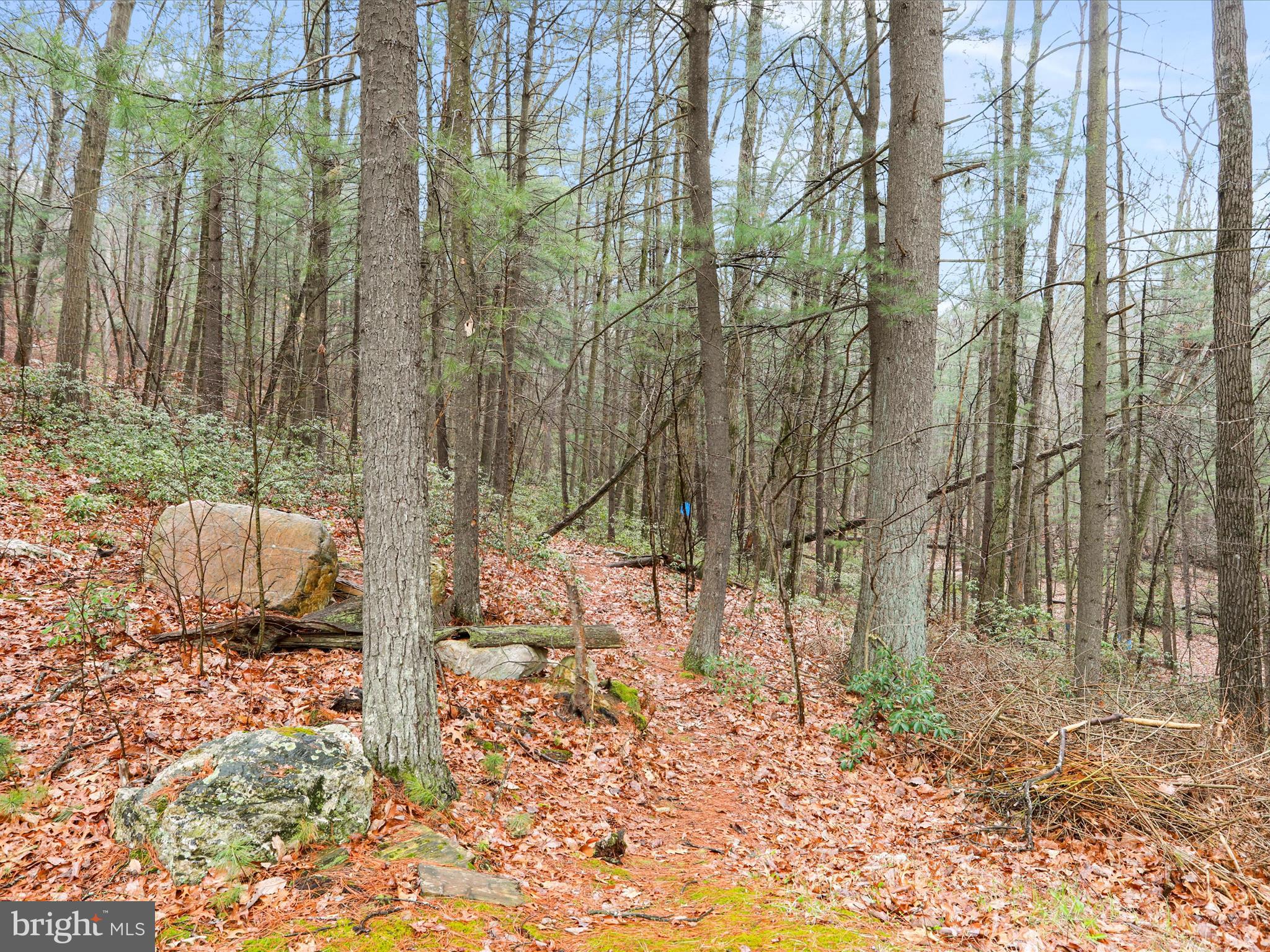 STILLHOUSE HOLLOW - Residential