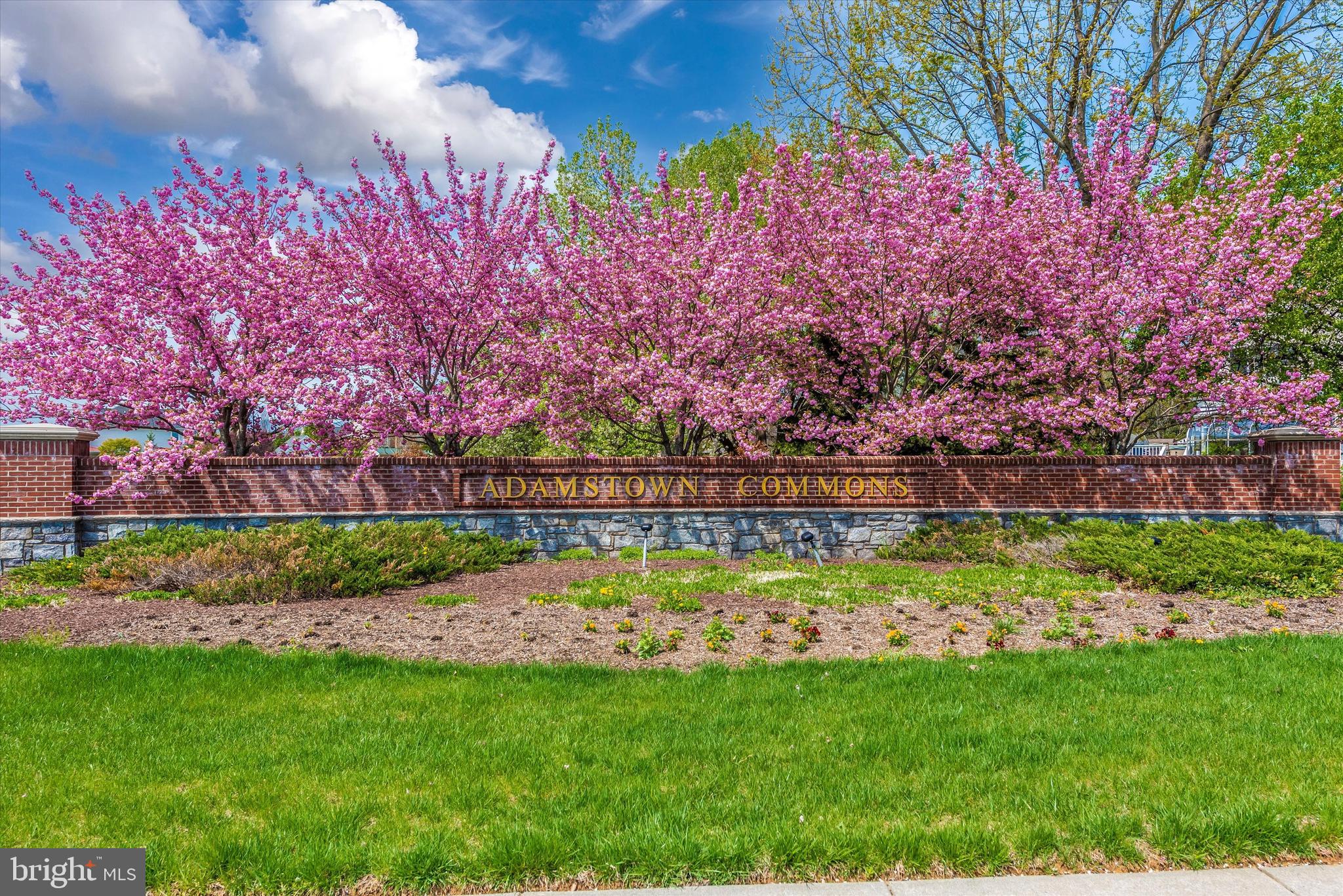 ADAMSTOWN COMMONS - Residential