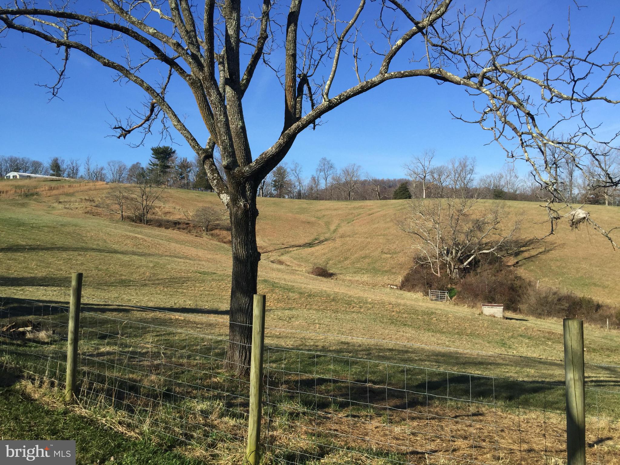 NONE AVAILABLE - Farm