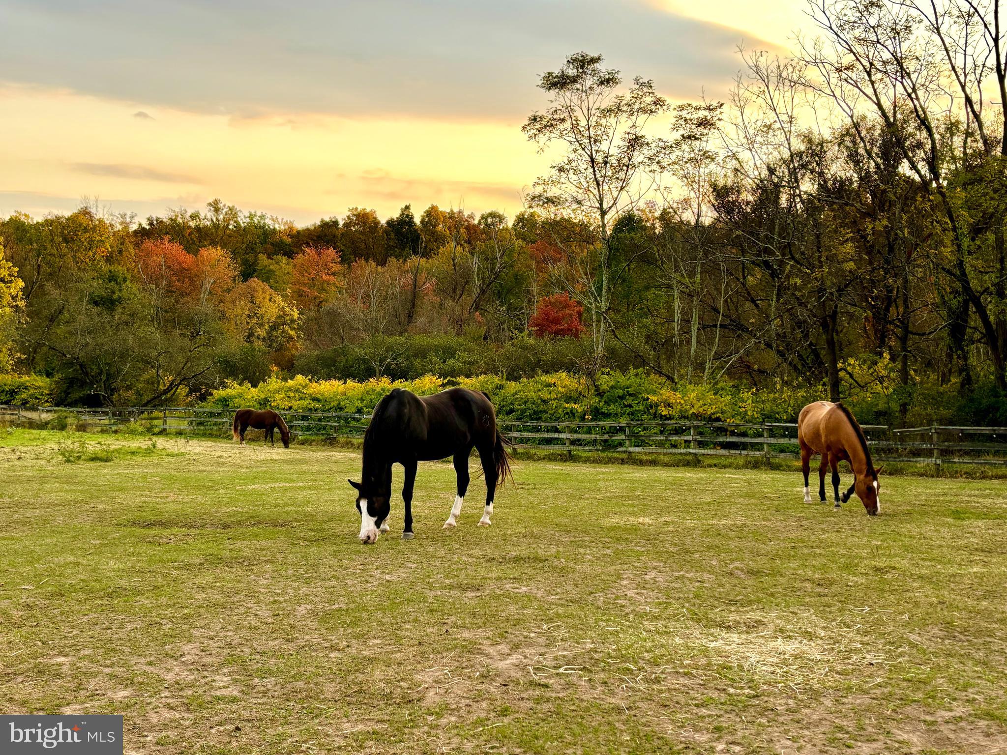 1385 COUNTY LINE ROAD