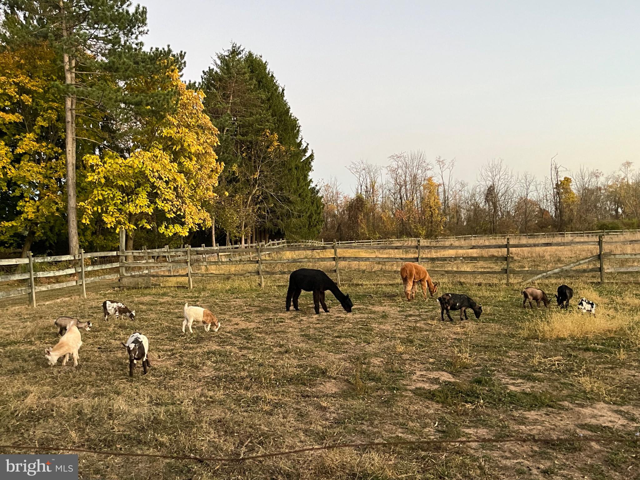1385 COUNTY LINE ROAD