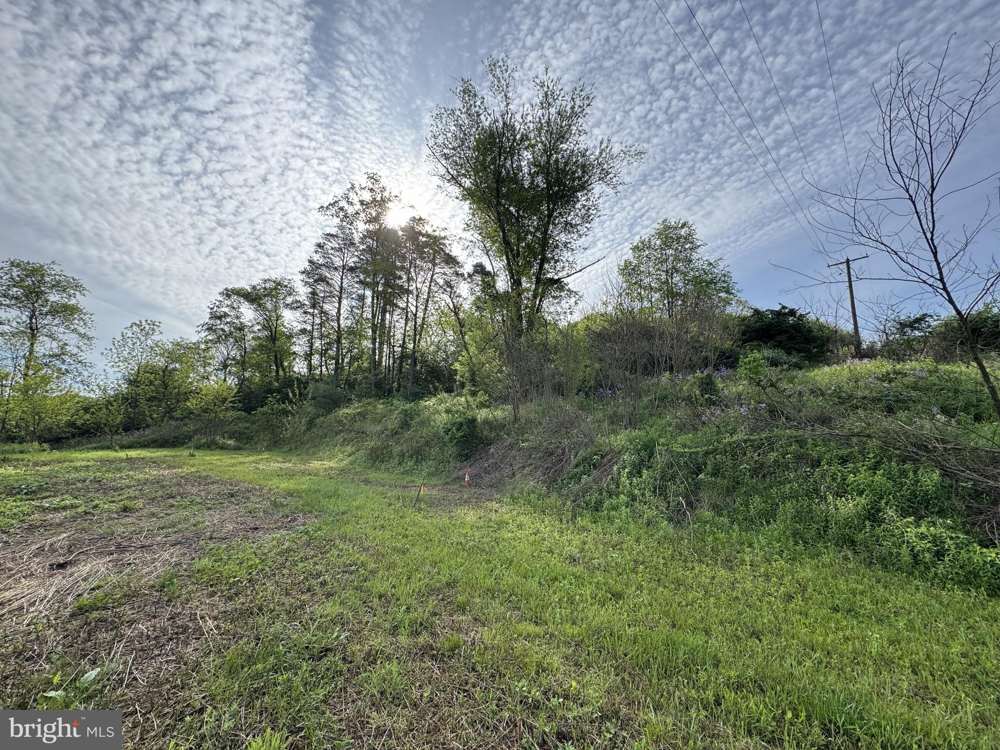 2781 BUFFALO RUN ROAD