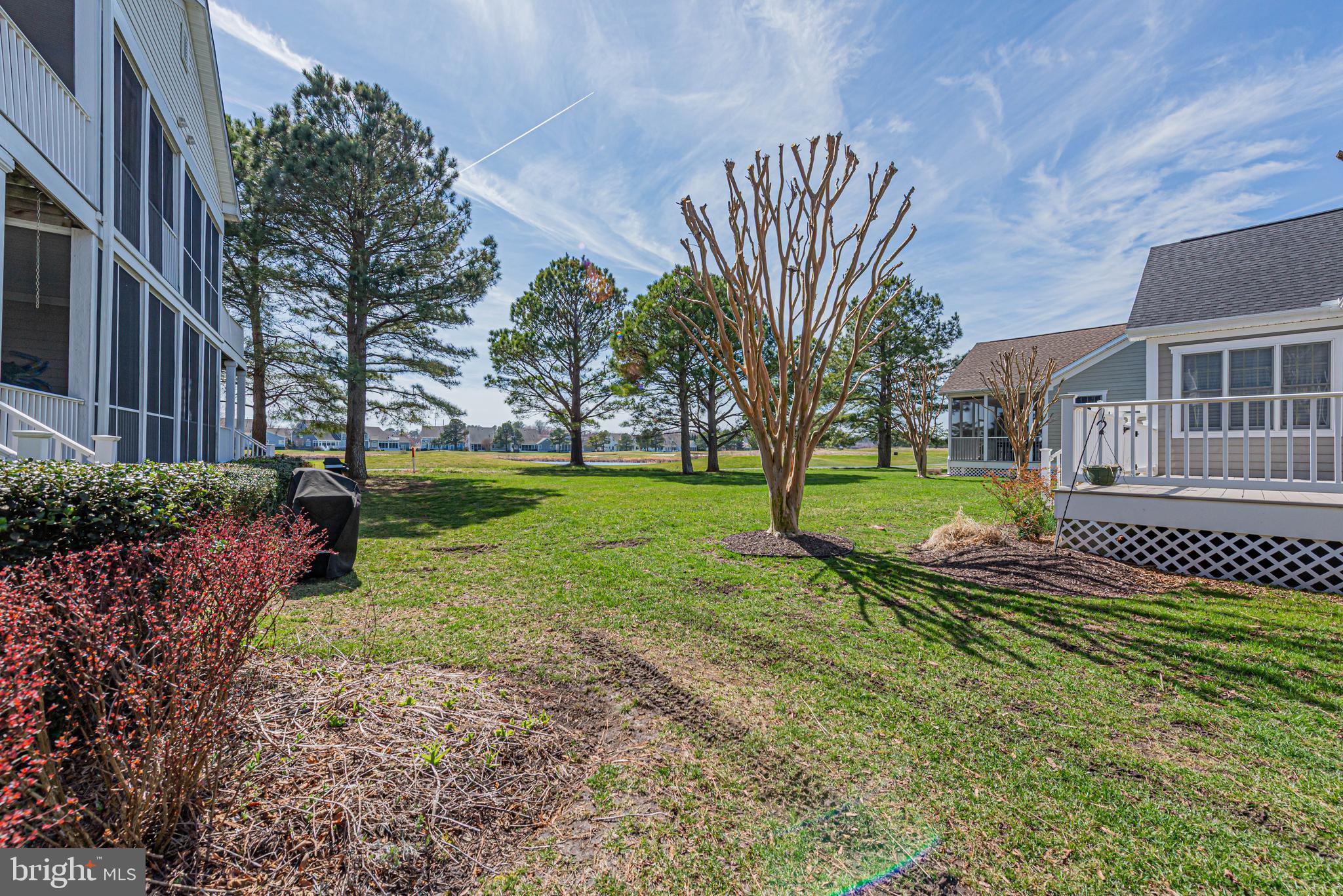 BEAR TRAP - Residential