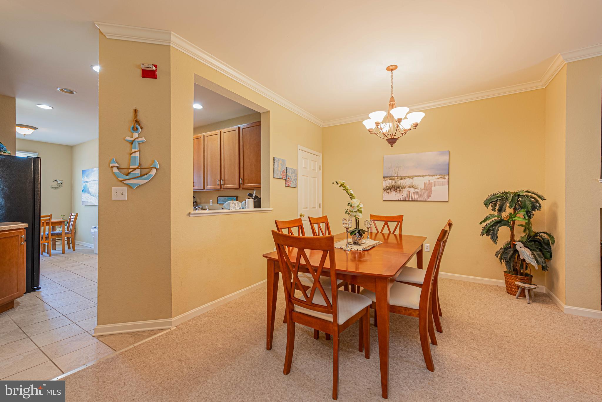 BEAR TRAP - Residential